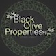 Black Olive Properties Logo